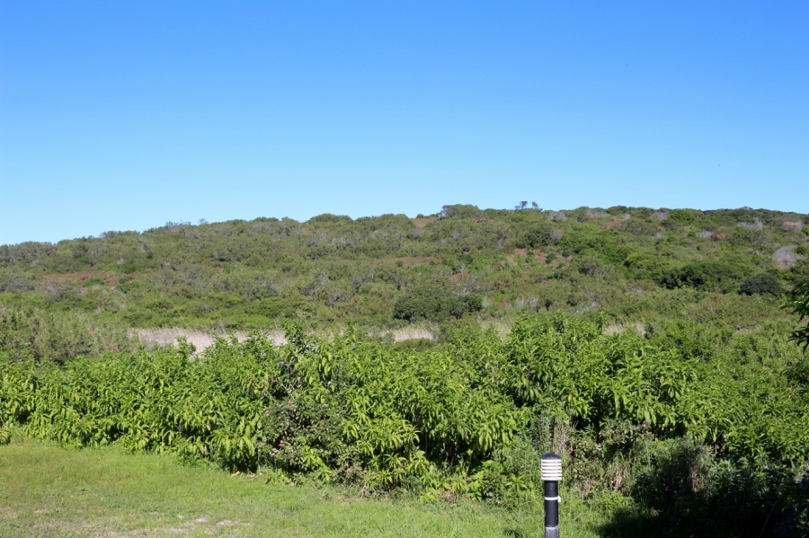 0 Bedroom Property for Sale in Forest Downs Eastern Cape